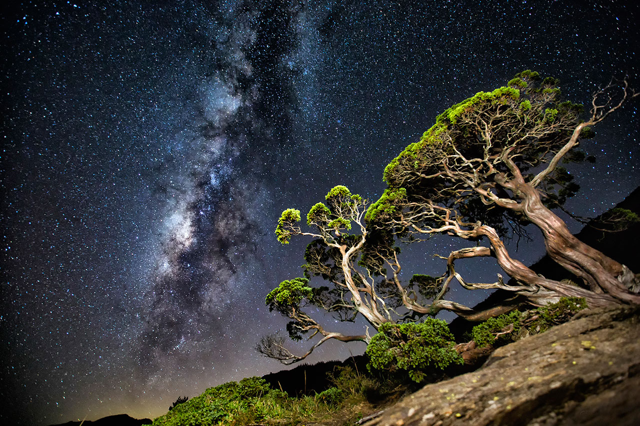 2025南投星空季