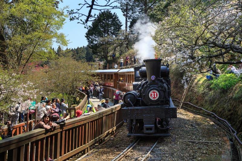 嘉義阿里山鄉-阿里山鐵道-親近大自然的最佳選擇
