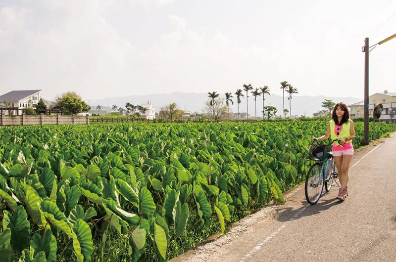 公館鄉-黃金小鎮-張自賢