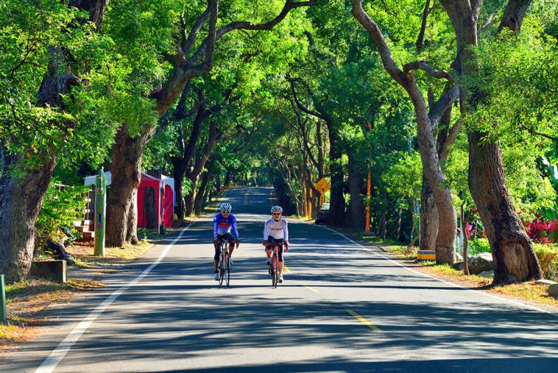 集集鎮-綠色隧道