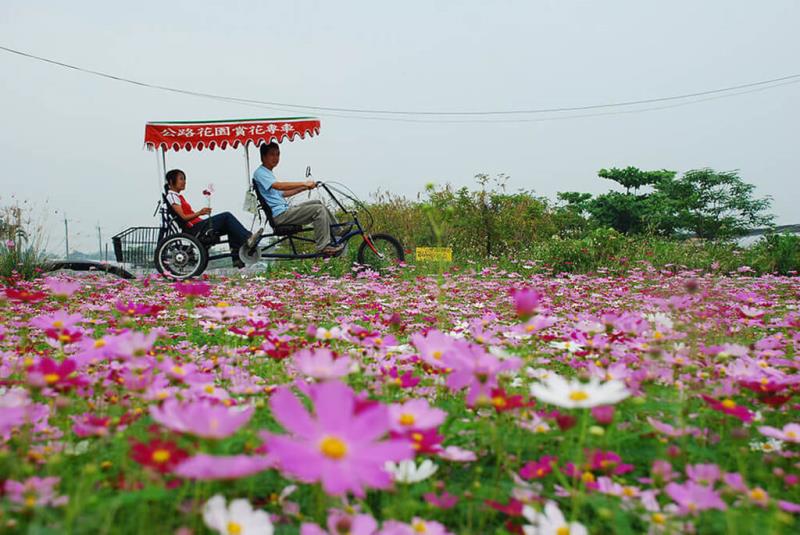 田尾公路花園