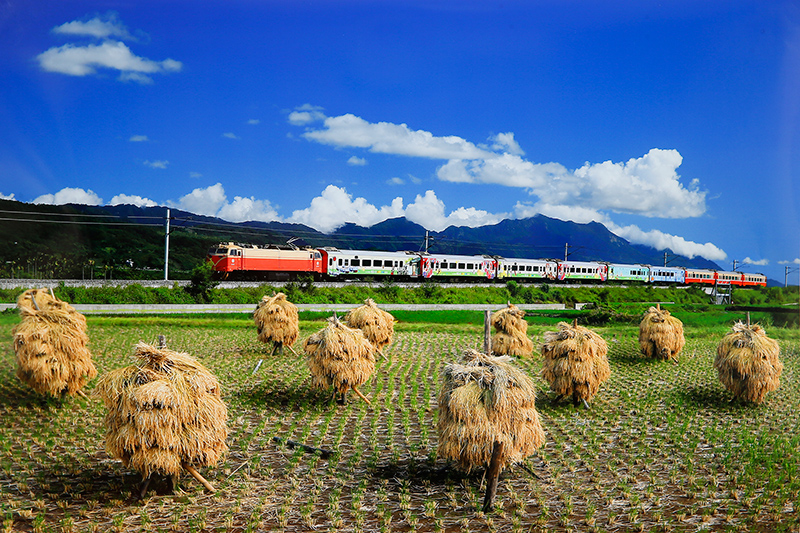 郵輪式列車