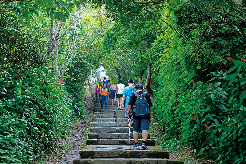 觀音山步道之旅