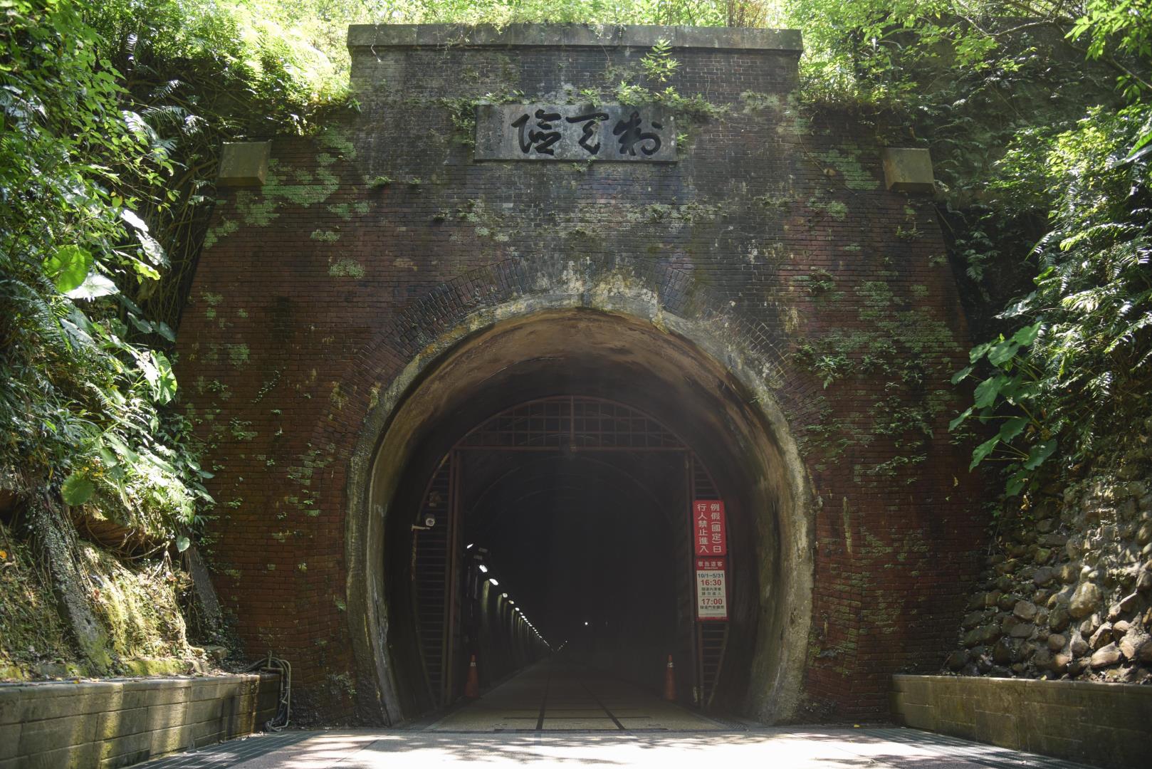 舊草嶺環狀線單車之旅