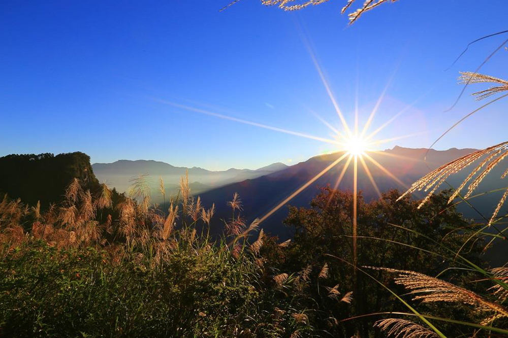 阿里山