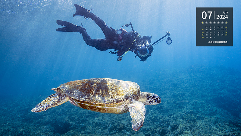 小琉球與綠蠵龜共游